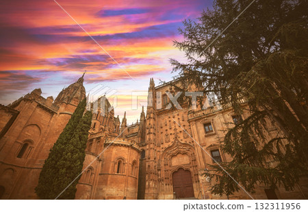 Old Cathedral of Santa Maria de la Sede of Salamanca, Spain Old Cathedral of Santa Maria de la Sede of Salamanca, Spain 132311956