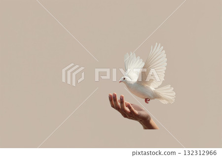 Hand gently releasing a white dove into the open sky with a soft background 132312966