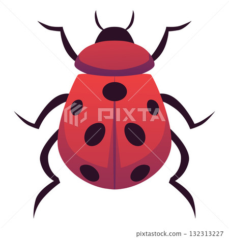 Red ladybug, top view, with spots, antennae, and legs, insect. 132313227