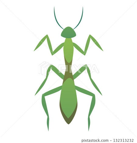 Praying mantis flat icon, vector cartoon green bug insect, grasshopper, entomology concept, wildlife fauna isolated Praying mantis flat icon, vector cartoon green bug insect, grasshopper, entomology concept, wildlife fauna isolated 132313232