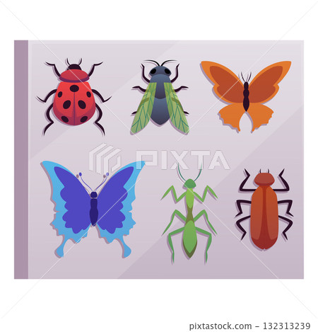Insects species in the album flat vector icon, cartoon fly, butterfly, ladybug, cockroach pest bug entomology collection Insects species in the album flat vector icon, cartoon fly, butterfly, ladybug, cockroach pest bug entomology collection 132313239
