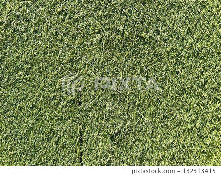 Artificial turf in the sun 132313415