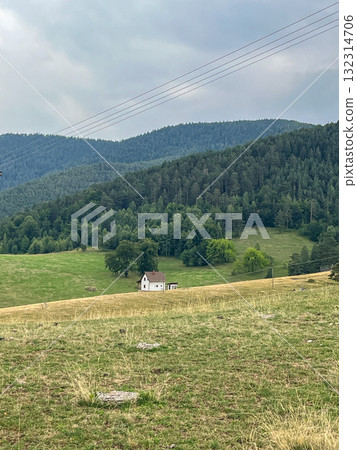 Rural landscape with grassy field, lonely house, pine trees and cloudy sky in the background. Rural landscape with grassy field, lonely house, pine trees and cloudy sky in the background. 132314706
