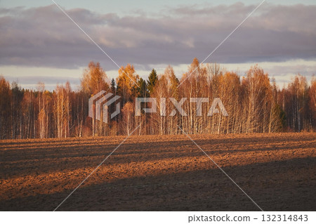 Rural landscape: a plowed field against a backdrop of autumn trees Rural landscape: a plowed field against a backdrop of autumn trees 132314843