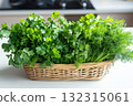 Brightly lit kitchen countertop features a basket filled with fresh parsley, cilantro, and dill, inviting culinary creativity and adding a touch of freshness to meal preparation 132315061