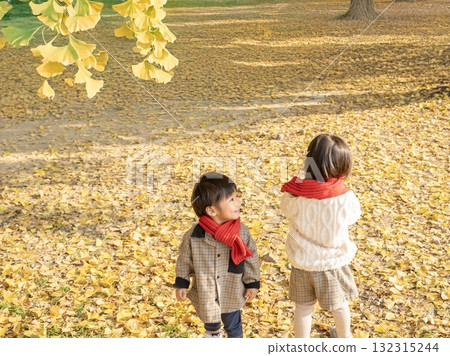 Children playing in the autumn park 132315244