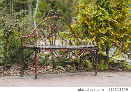 Decorative iron bench surrounded by lush greenery in a tranquil garden setting during early spring Decorative iron bench surrounded by lush greenery in a tranquil garden setting during early spring 132315599