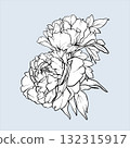 Peony line art sketch. Bouquet Peony vector flower illustration. Hand drawn outline flowers painted by black inks. Flowers Engraving for wedding invitations, save the date cards and coloring page 132315917