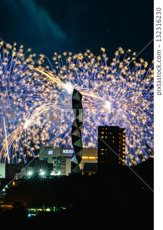 Large flowers illuminating the night sky at the Mito Kairakuen Fireworks Festival 132316230