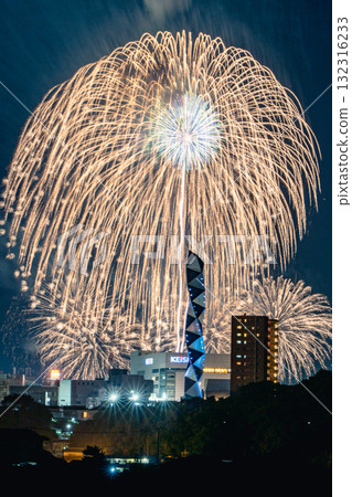 Large yellow flowers coloring the night sky at the Mito Kairakuen Fireworks Festival Large yellow flowers coloring the night sky at the Mito Kairakuen Fireworks Festival 132316233