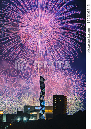 Large purple flowers coloring the night sky at the Mito Kairakuen Fireworks Festival Large purple flowers coloring the night sky at the Mito Kairakuen Fireworks Festival 132316243