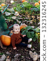 Cute baby sitting near wheelbarrow with pumpkins on pumpkin patch. Selecting best pumpkins for Thanksgiving and Halloween holidays decoration on farm. Pumpkin harvest. Autumn fall festive mood 132316245