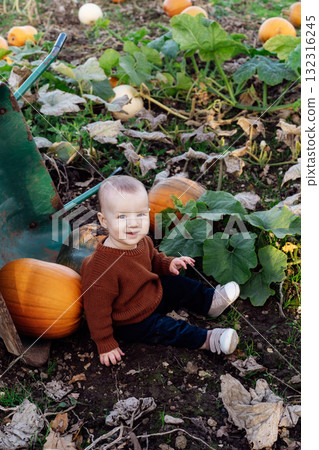 Cute baby sitting near wheelbarrow with pumpkins on pumpkin patch. Selecting best pumpkins for Thanksgiving and Halloween holidays decoration on farm. Pumpkin harvest. Autumn fall festive mood Cute baby sitting near wheelbarrow with pumpkins on pumpkin patch. Selecting best pumpkins for Thanksgiving and Halloween holidays decoration on farm. Pumpkin harvest. Autumn fall festive mood 132316245