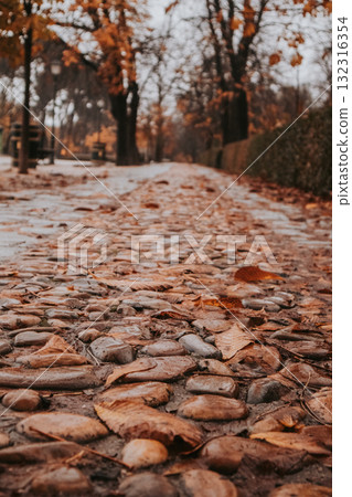 Autumnal path through a park with fallen leaves. A low-angle shot captures a cobblestone path in a park during autumn, with fallen leaves scattered across the ground and trees in the background. Autumnal path through a park with fallen leaves. A low-angle shot captures a cobblestone path in a park during autumn, with fallen leaves scattered across the ground and trees in the background. 132316354