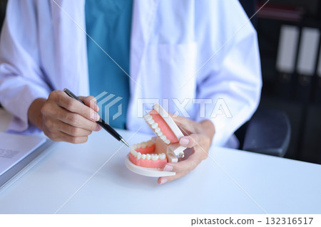 Dentist uses a dental model to explain oral health and treatments to a patient. 132316517
