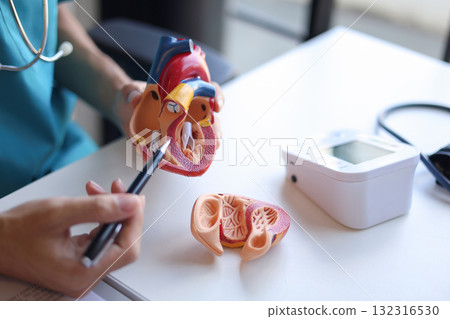 Doctor using heart model to explain blood flows direction. 132316530