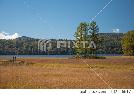 [群馬] 尾瀨之原的紅葉 132316617