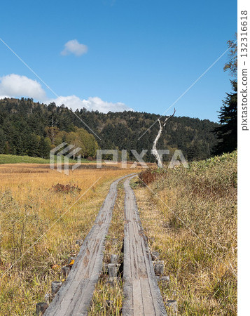 [群馬] 尾瀨之原的紅葉 132316618