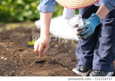 年輕女子在田裡播種蔬菜種子 132316737