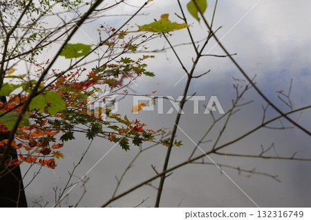 Iizuna Plateau Kotorigaike Pond Iizuna Plateau Kotorigaike Pond 132316749