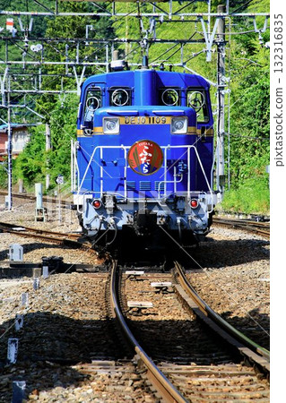 Going through the fresh green Kinu Road... DL Daiki's DE10 diesel locomotive 132316835