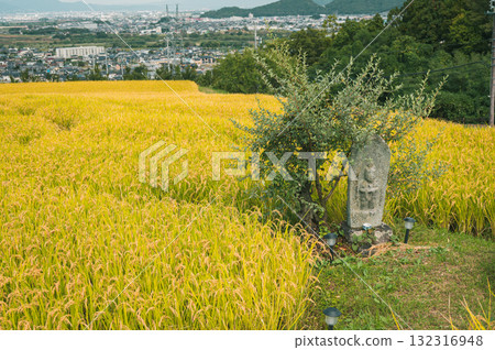 Forty-eight rice fields, Tagoto Kannon Temple, and Zenkoji Plain [Obasute Rice Terraces] 132316948