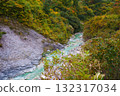 Kawahara Hare Hell Akita 132317034