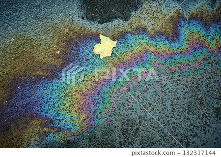 Colorful Oil Slick With Leaf on Pavement After Rain in Urban Area Showcasing Nature and Pollution. 132317144