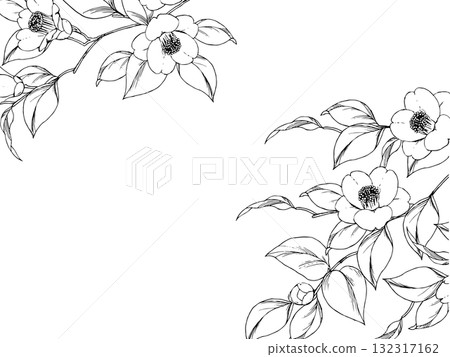 Pen-drawn camellia branch frame 2 Pen-drawn camellia branch frame 2 132317162