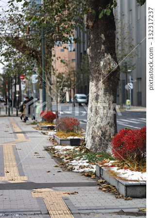 初冬的札幌，初雪與落葉交相輝映，靜謐的街角 132317237