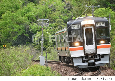 Kiha 75 穿過 Sakahogi 彎道 132317273