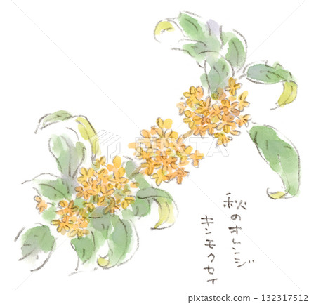 Autumn plants. Watercolor illustration of Osmanthus flower 132317512