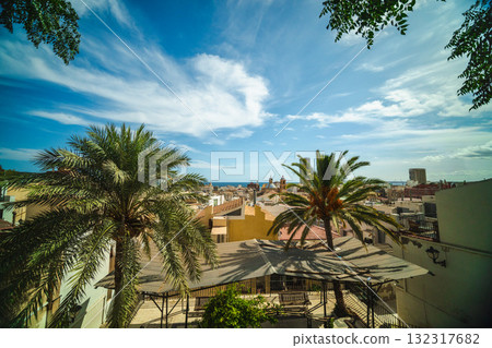 Alicante city skyline with palm trees and historic rooftops overlooking the Mediterranean Sea on a sunny day. 132317682