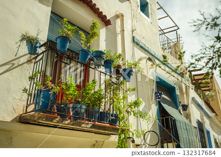 Traditional Mediterranean balcony with vibrant blue flower pots and lush green plants on a whitewashed facade under bright sunlight, capturing the charm of Spanish architecture. Traditional Mediterranean balcony with vibrant blue flower pots and lush green plants on a whitewashed facade under bright sunlight, capturing the charm of Spanish architecture. 132317684