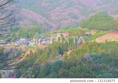 Village of Hanamomo, a rural mountain shrouded in spring mist, with houses built on the slopes, Higashichichibu Village 132318075