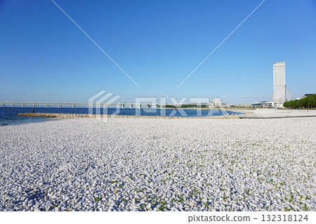 Rinku Marble Beach 132318124