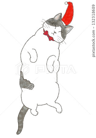 Cat wearing a Santa hat 132318689