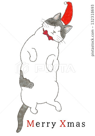 Cat wearing a Santa hat Cat wearing a Santa hat 132318693