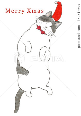 戴著聖誕帽的貓 132318695
