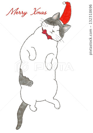 戴著聖誕帽的貓 132318696