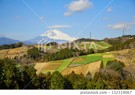 箱根和富士山西麓的菜地 132319067
