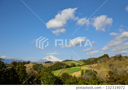 箱根和富士山西麓的菜地 132319072