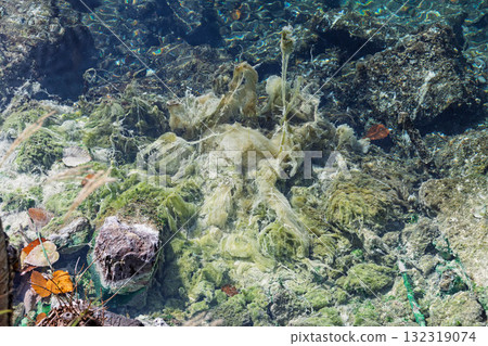 栃木縣日光市湯之湖底部的湯之瀨 132319074