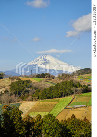 Vegetable fields on the western foot of Hakone and Mount Fuji Vegetable fields on the western foot of Hakone and Mount Fuji 132319087