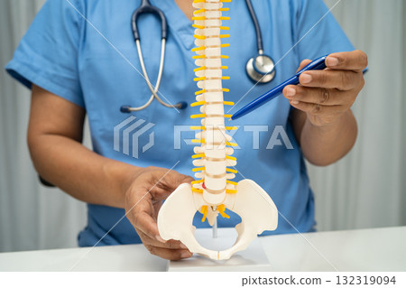 Doctor with lumbar vertebra bone skeleton and nerve model for treatment in the orthopedic department. Doctor with lumbar vertebra bone skeleton and nerve model for treatment in the orthopedic department. 132319094