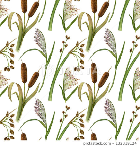 Seamless pattern of cattail, reed and rushes. Hand-drawn watercolor illustration. For textiles, fabrics, and wallpaper 132319124