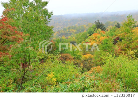 Hachimantai Aspite Line dyed in autumn leaves 132320017
