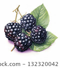Fresh Blackberries with Leaves Isolated on White Background, Healthy Summer Fruit Concept. 132320042