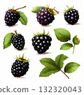 Freshly Picked Blackberries A Delicious and Nutritious Berry Still Life on White Background 132320043