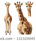 Giraffe Collection for Educational Resources and Creative Design Projects 132320045